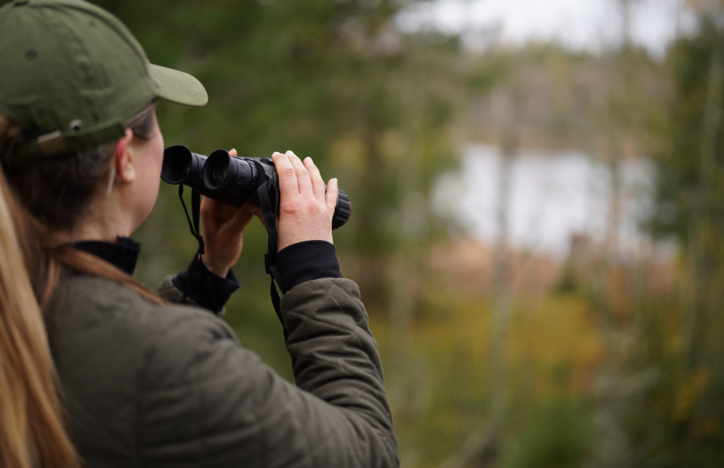 Herbstlicher Ansitz auf Rotwild mit dem HIKMICRO Habrok HQ35L