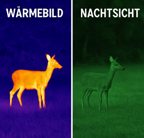 Wärmebild oder Nachtsicht? Die Unterschiede für die Jagd erklärt