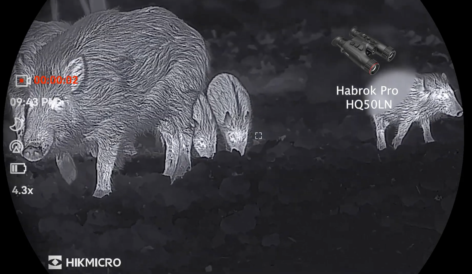 Testbericht: HIKMICRO Habrok Pro HQ50LN