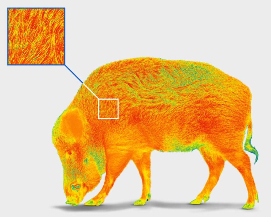 Wärmebildkamera - Fragen vor dem Kauf