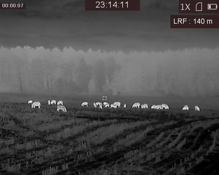 Ein Wärmebild mit der Wärmebildvorsatzgerät GQ35 von HIKMICRO.