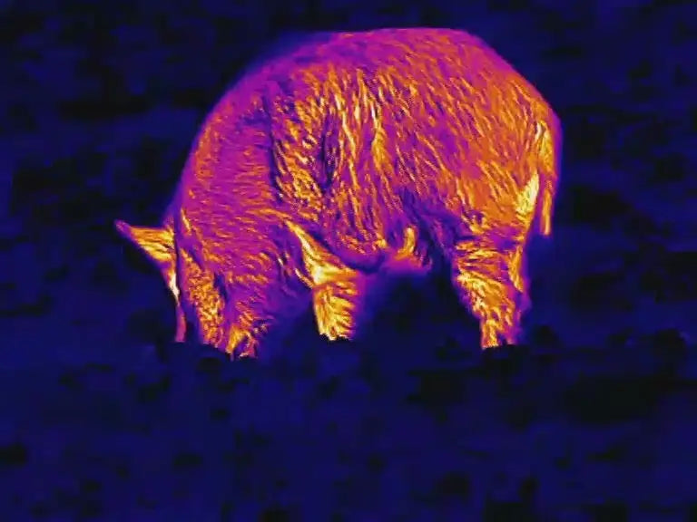 Sehfeld Wärmebildkamera