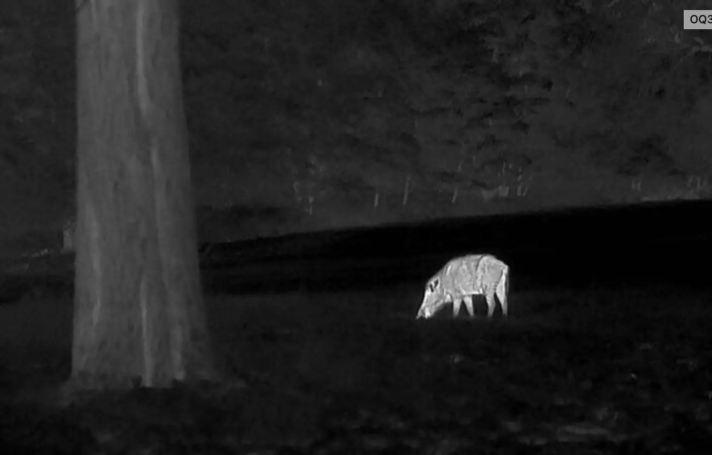 Thermtec Wärmebildkamera