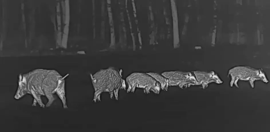 Wärmebildkamera Condor von Hikmicro.