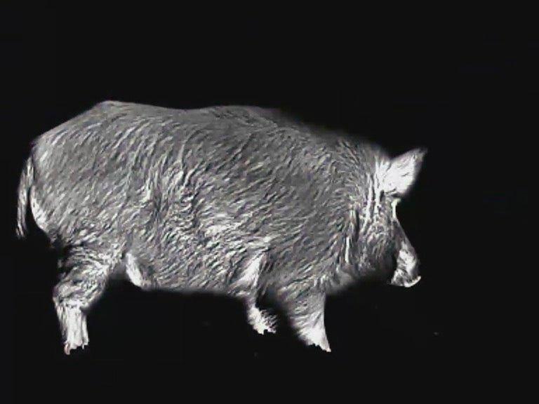 Zoom und Grundvergrößerung einer Wärmebildkamera