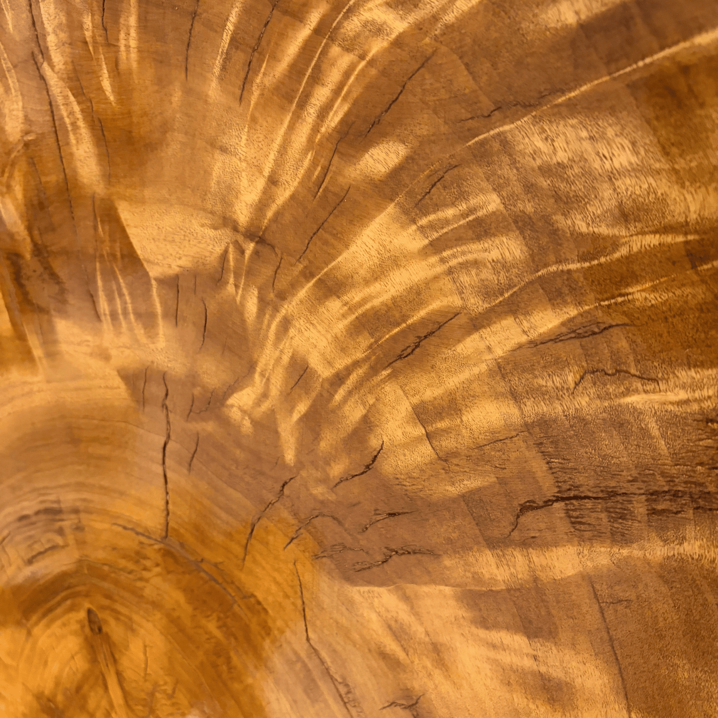 Hier die Holzmaserung einer Thronstuhlrückenlehne in Großaufnahme. Machen Sie sich selbst ein Bild von der Einzigartigkeit des Stuhls