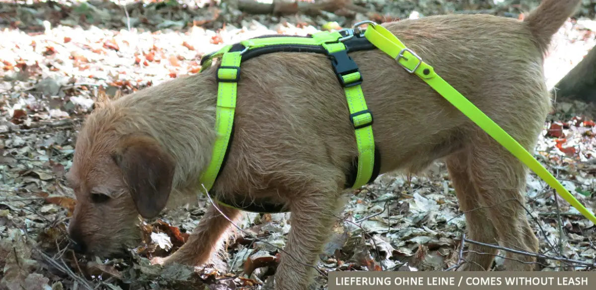 AKAH Brustgeschirr Tracker neongelb Hundegeschirr