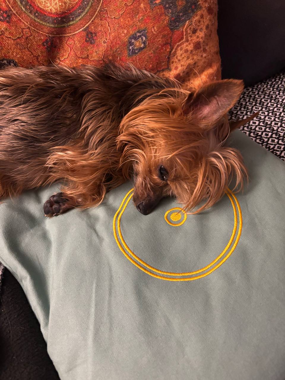 Hund liegt auf Orgon-Kissen, das Orgonkissen ist also nicht nur bei Menschen sehr beliebt