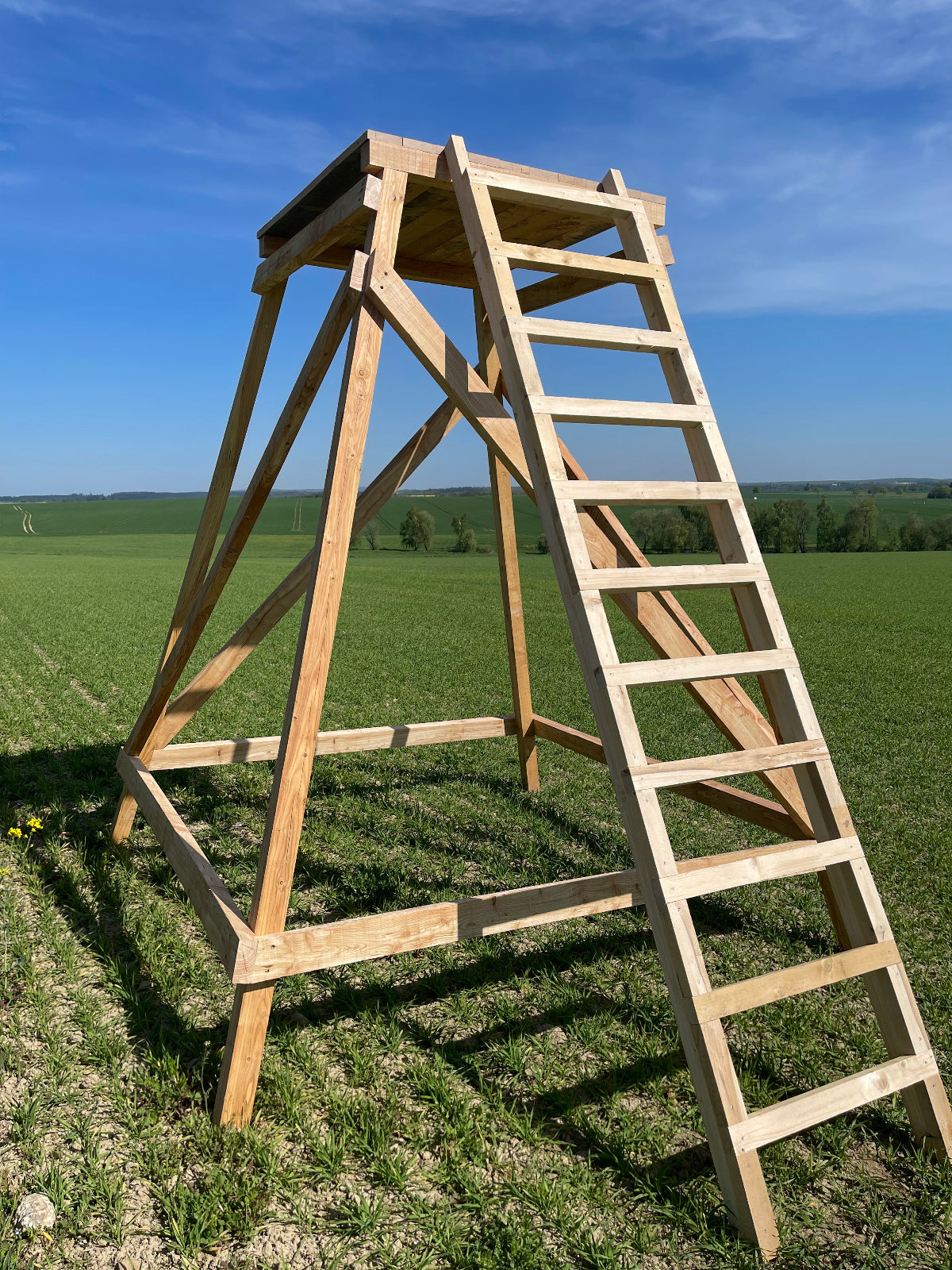 Kanzelunterbau inkl. Leiter aus Lärche, Fußboden aus Eiche