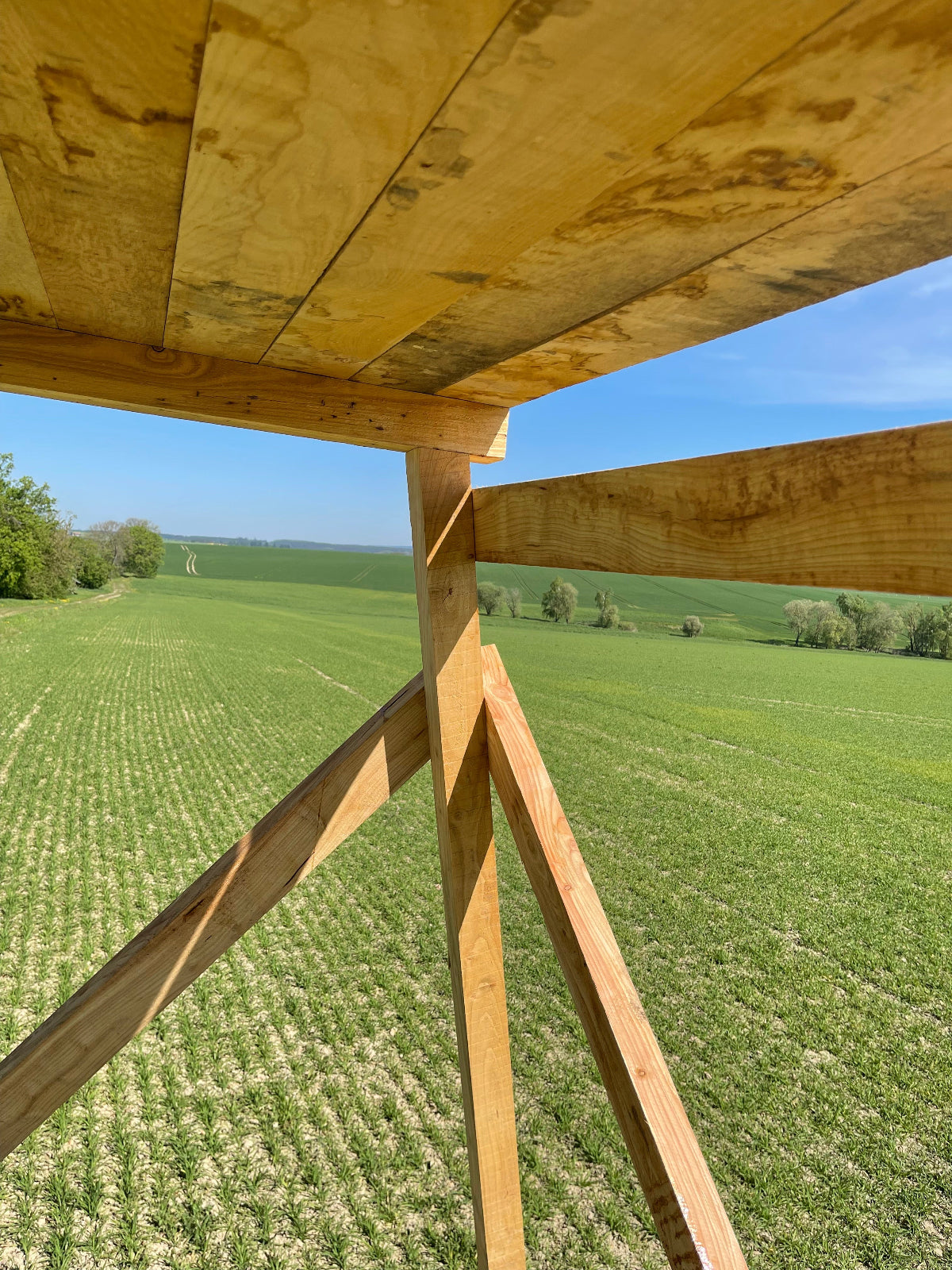 Unterbau Jagdkanzel aus Lärche und Fußboden au Eiche - Ansicht von unten