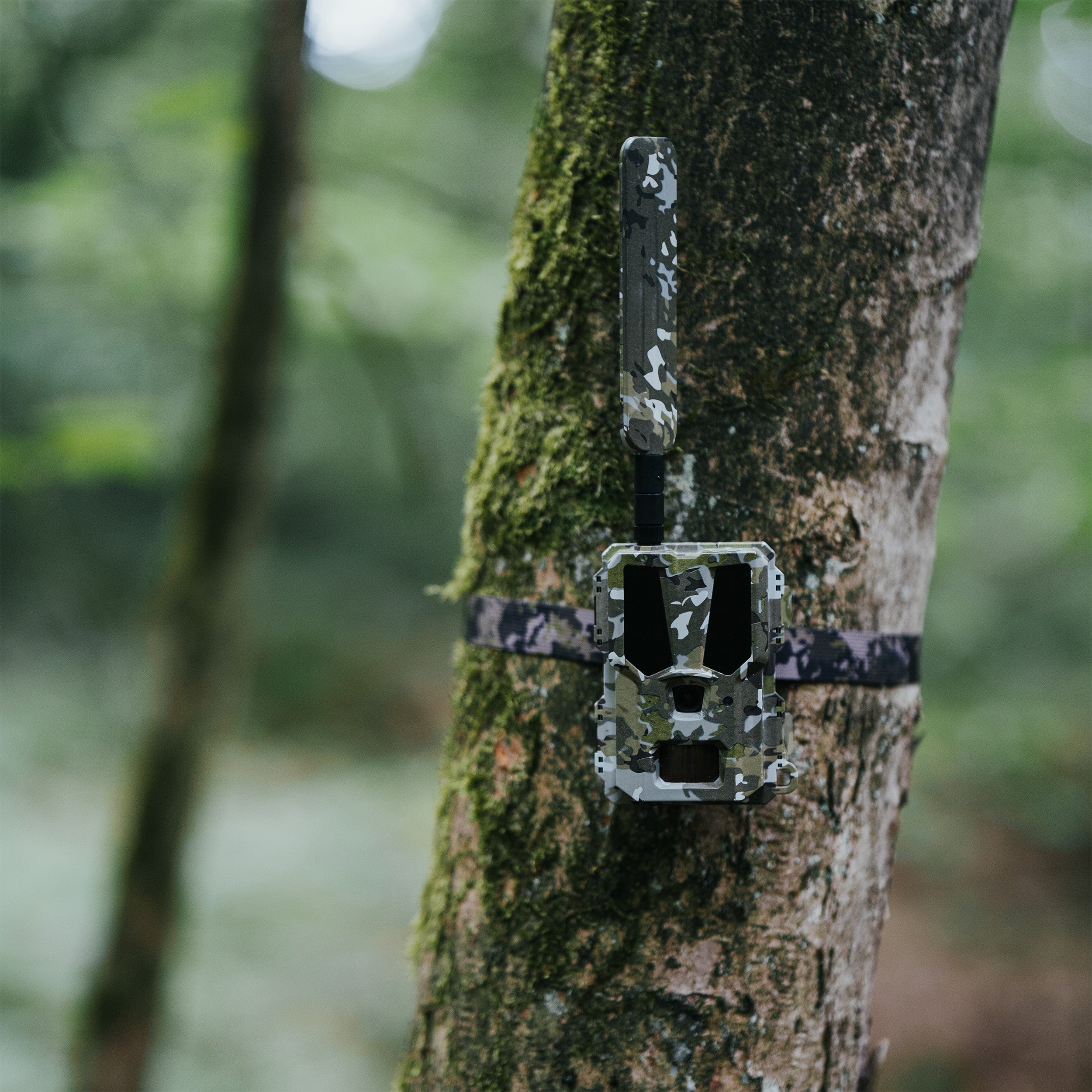 Hunter 4G Mini LTE-SIM-Wildkamera von Modernhunter für die Jagd.