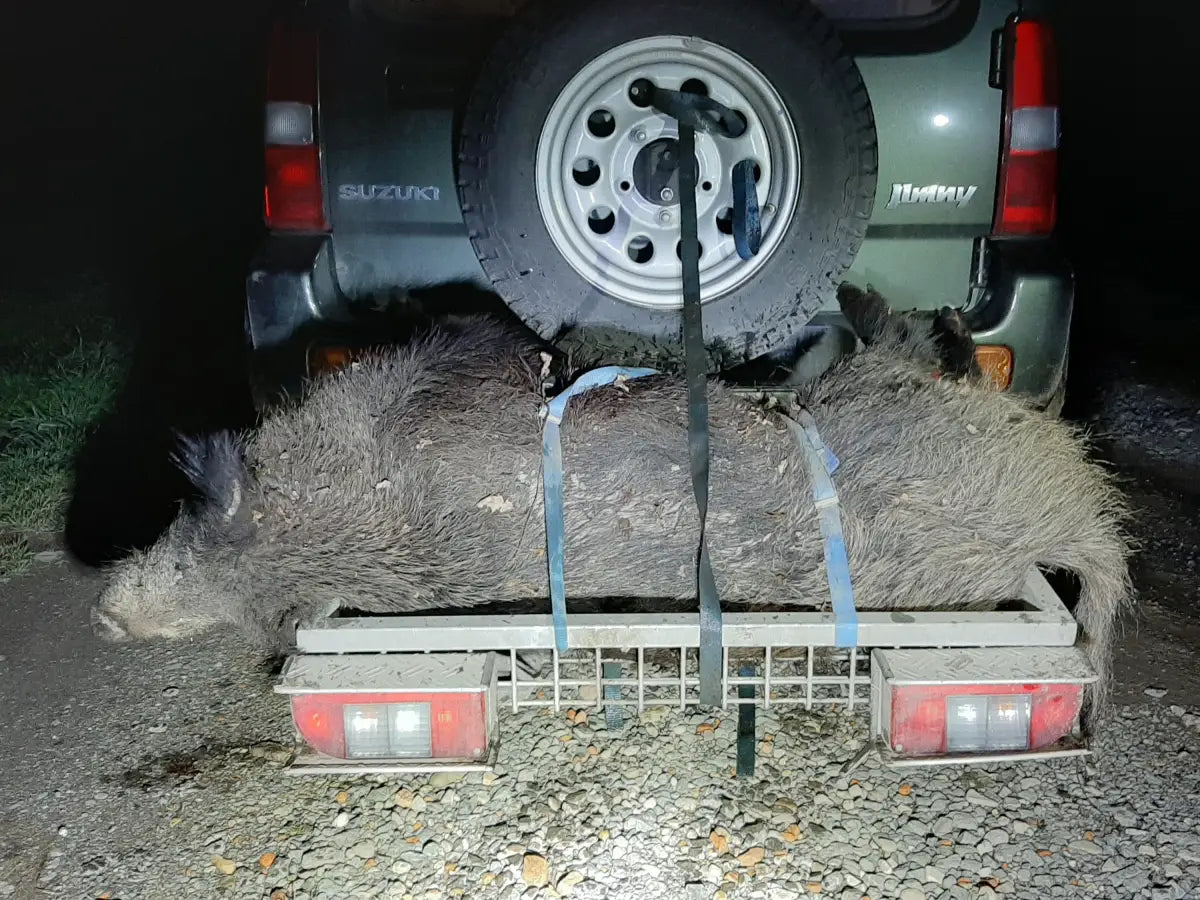 Wildträger Optimal 900 x 500 x 125 mm von Heck-Pack für die Jagd.