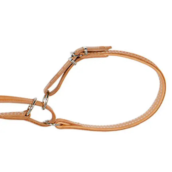 Es handelt sich hier um AKAH Umhängeleine mit Halsung für die Jagd.