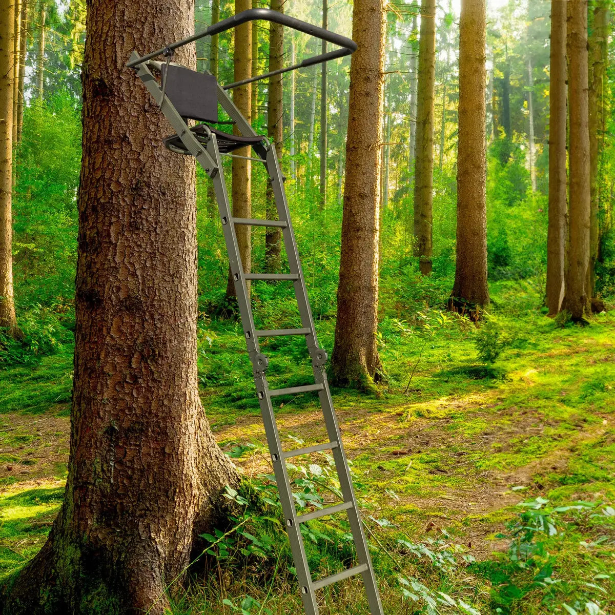 Es handelt sich hier um Ansitzleiter klappbar 2,5 m Sitzhöhe für die Jagd.