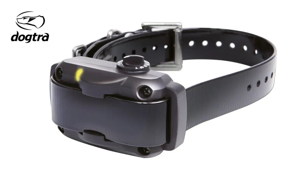 DOGTRA Anti-Bell-Halsband YS600 Ausbildung