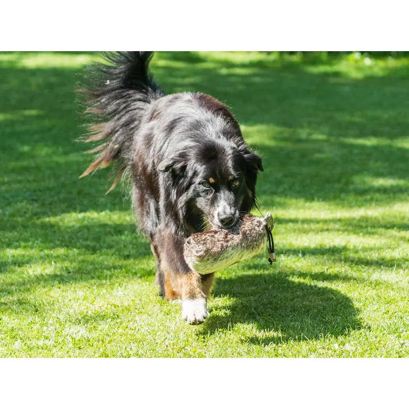 Hunde Dummy Komplettfell Dummy
