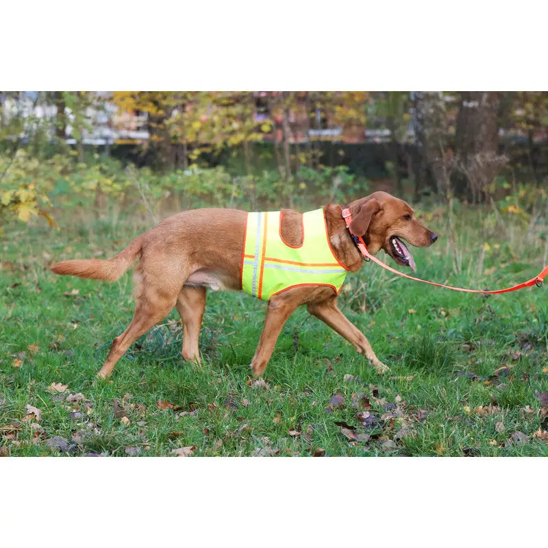 Hunde Reflektorweste - Signalgelb Reflektorweste