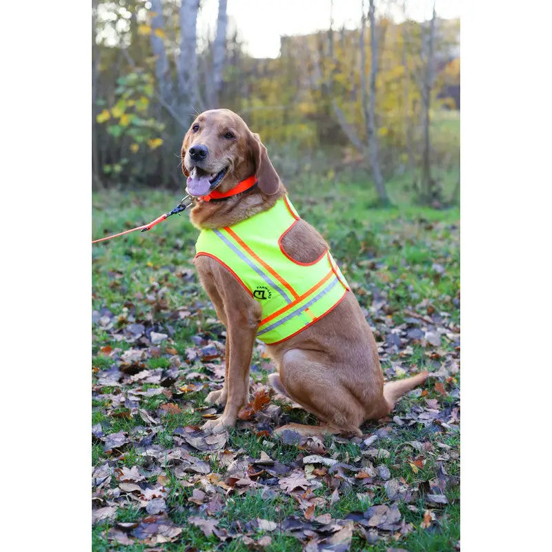 Hunde Reflektorweste - Signalgelb Reflektorweste