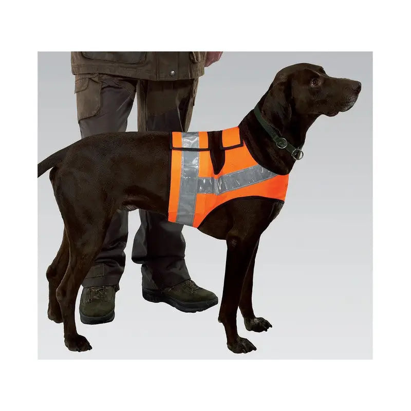 Hunde Reflektorweste - Signalorange Reflektorweste