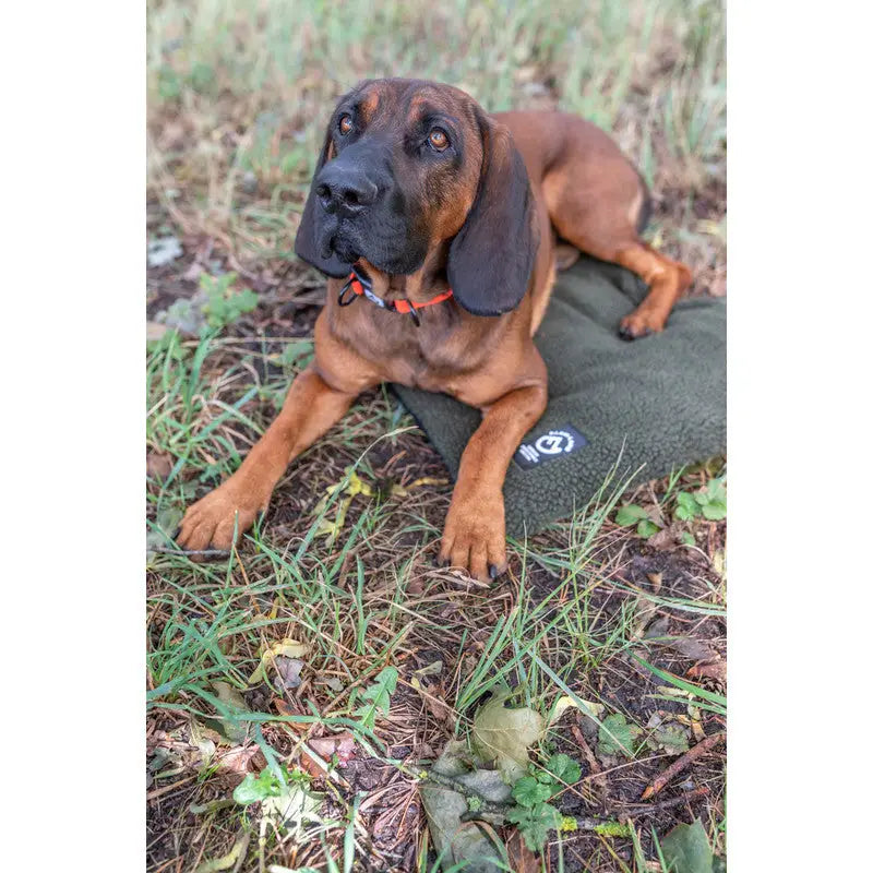 Es handelt sich hier um Farm-Land Hundedecke Faserpelz schwarz für die Jagd.