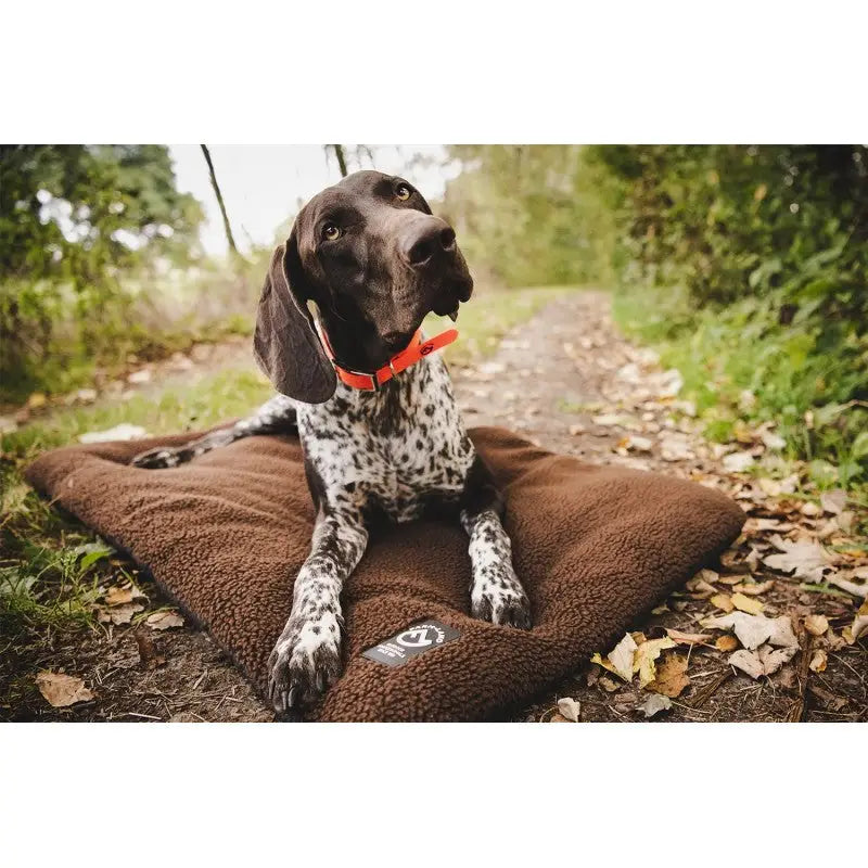 Es handelt sich hier um Farm-Land Hundedecke Faserpelz braun für die Jagd.