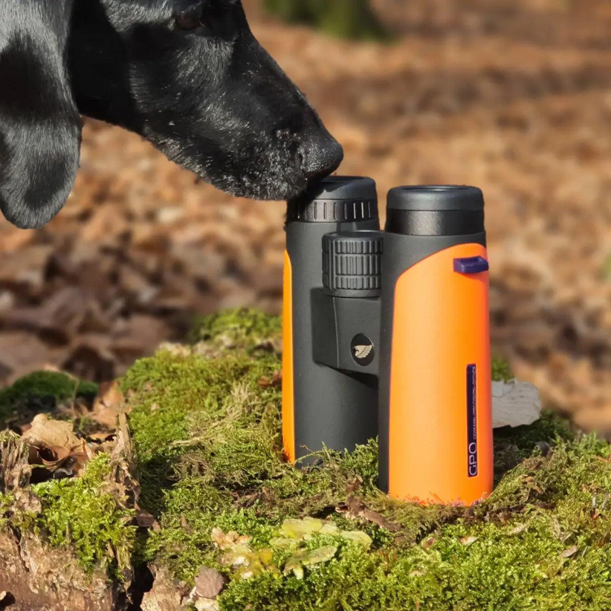 Es handelt sich hier um Fernglas GPO Passion™ ED 10x42 für die Jagd.