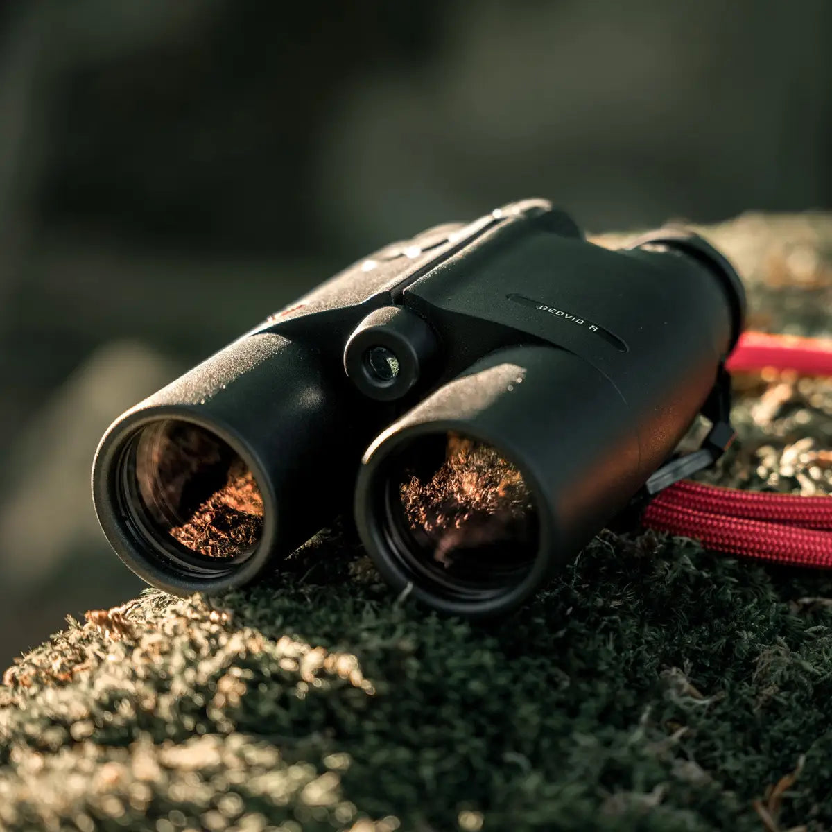 Es handelt sich hier um Fernglas Geovid 10x42 R Entfernungsmesser LEICA für die Jagd.