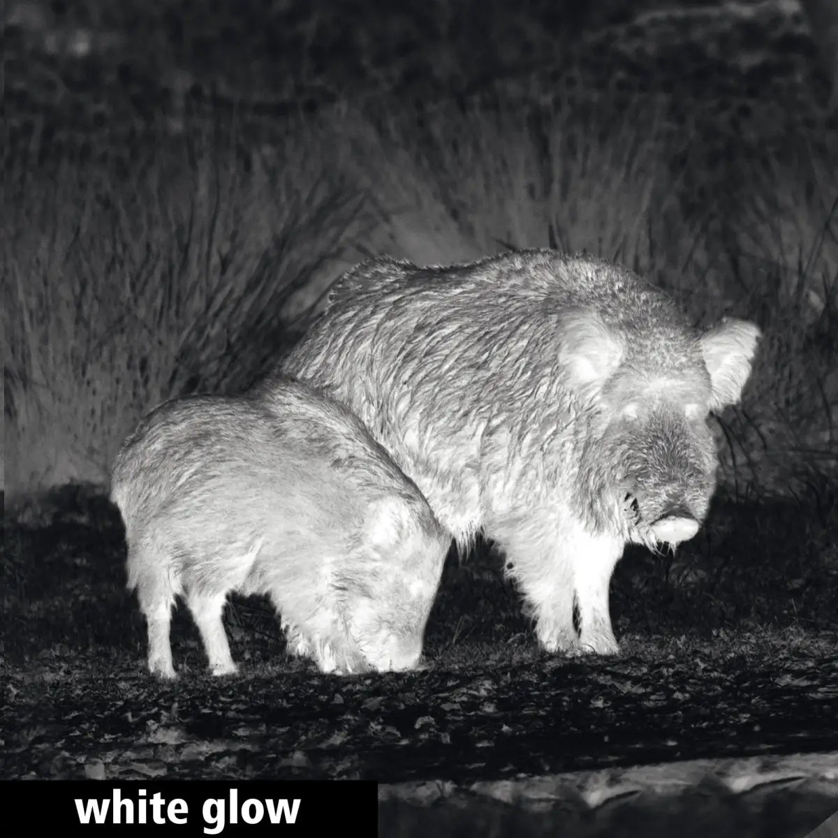 GPO Spectra™ TI 35 Wärmebildgerät / Vorsatzgerät