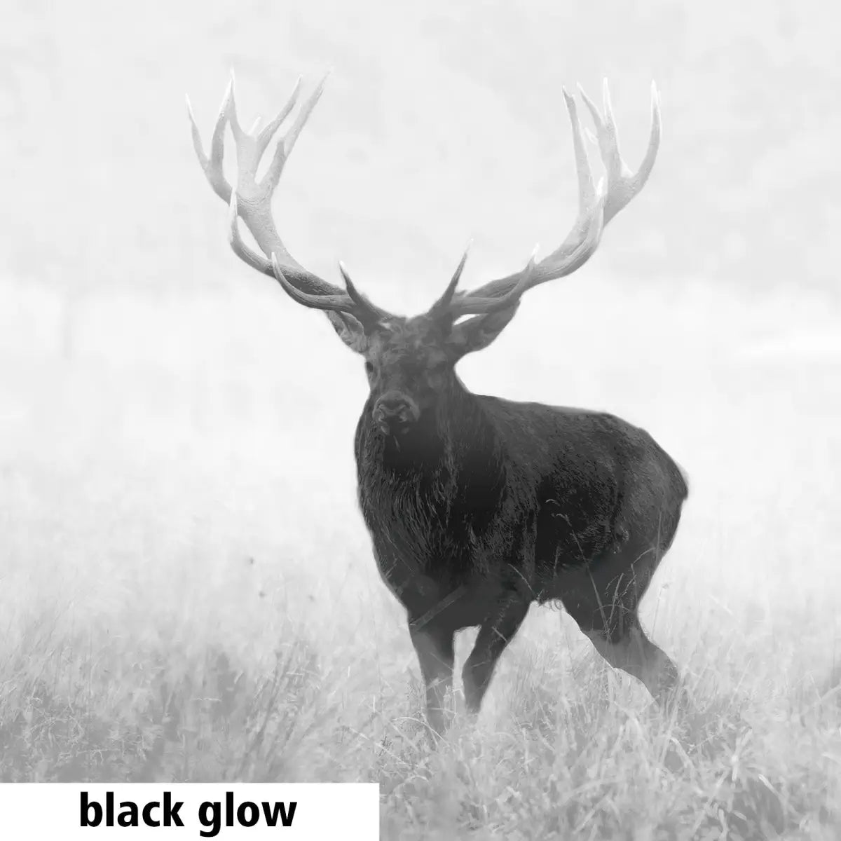 Es handelt sich hier um Aufnahme mit GPO Spectra™ TI 35 Wärmebildgerät / Vorsatzgerät für die Jagd.