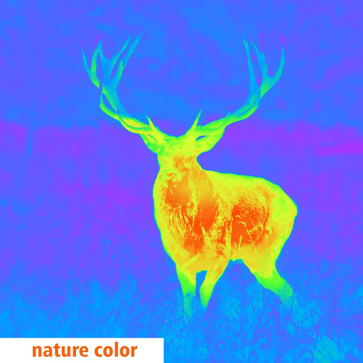 Es handelt sich hier um Aufnahme mit GPO Spectra™ TI 35 Wärmebildgerät / Vorsatzgerät für die Jagd.