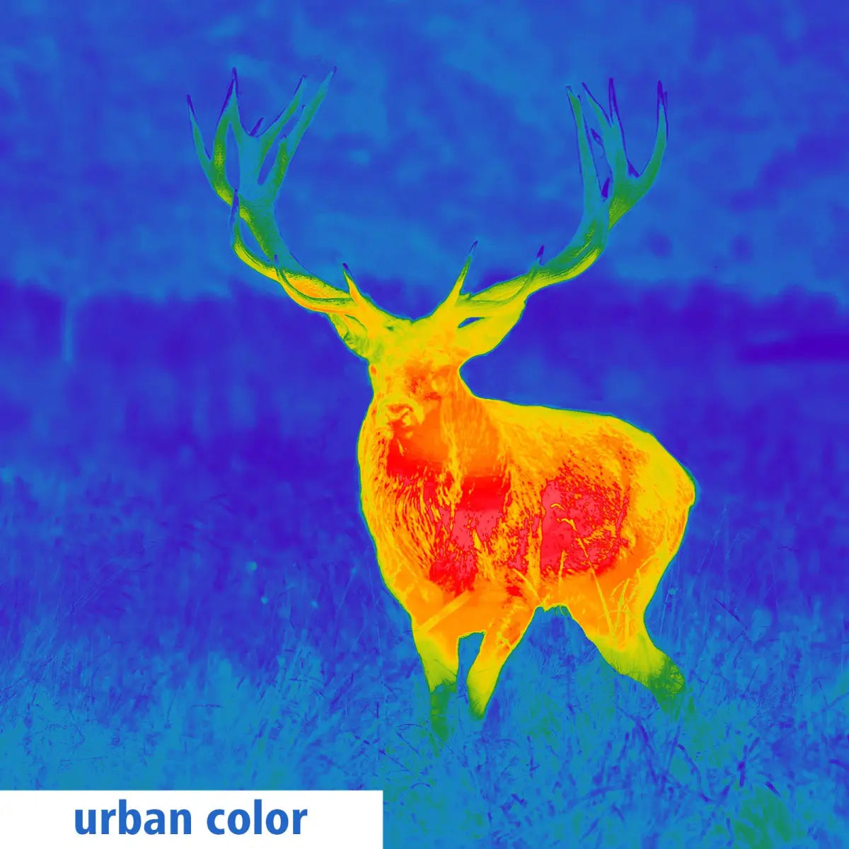 Es handelt sich hier um Aufnahme mit GPO Spectra™ TI 35 Wärmebildgerät / Vorsatzgerät für die Jagd.