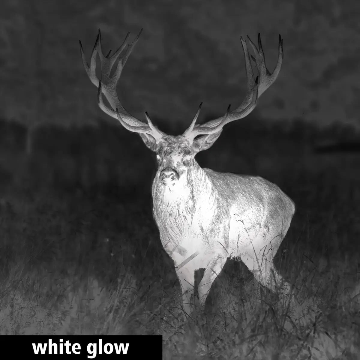 GPO Spectra™ TI 35 Wärmebildgerät / Vorsatzgerät