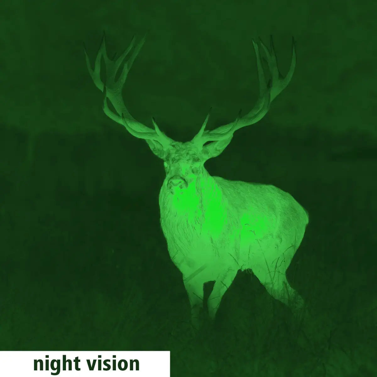 Es handelt sich hier um Aufnahme mit GPO Spectra™ TI 35 Wärmebildgerät / Vorsatzgerät für die Jagd.