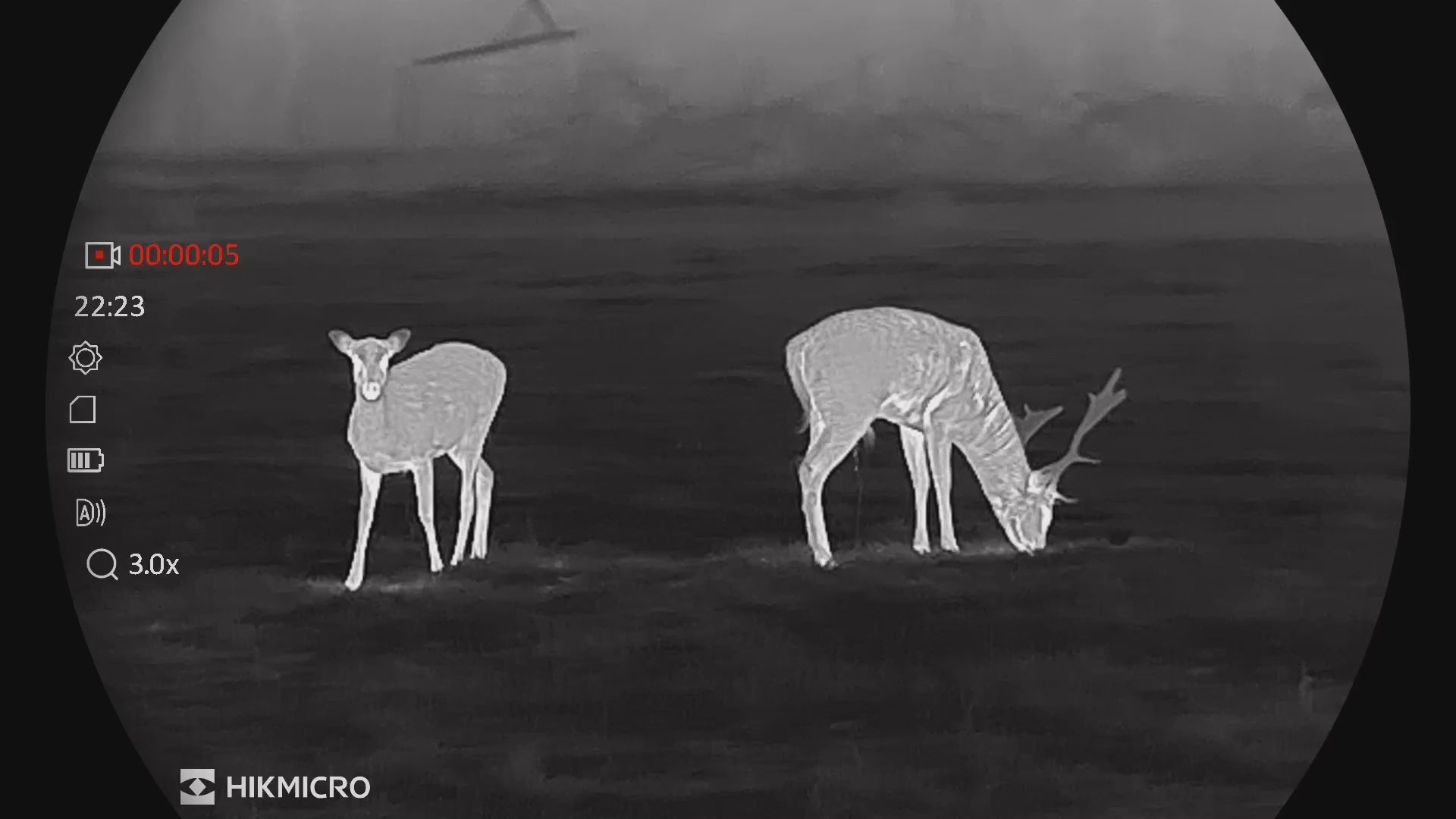 Es handelt sich hier um Video Aufnahmen mit HIKMICRO Binocular Habrok HQ35L und HIKMICRO Binocular Habrok HQ35LN für die Jagd.