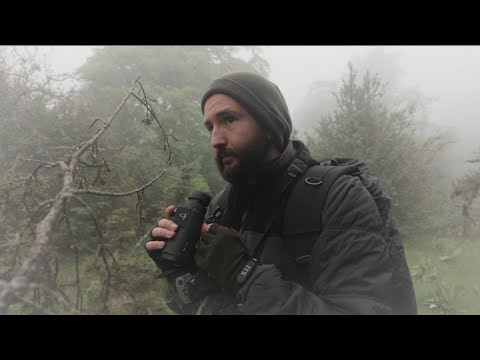 Video zum Kompass-Monokular mit Entfernungsmesser NM 7x42 C Monokular NOBLEX® die Jagd.