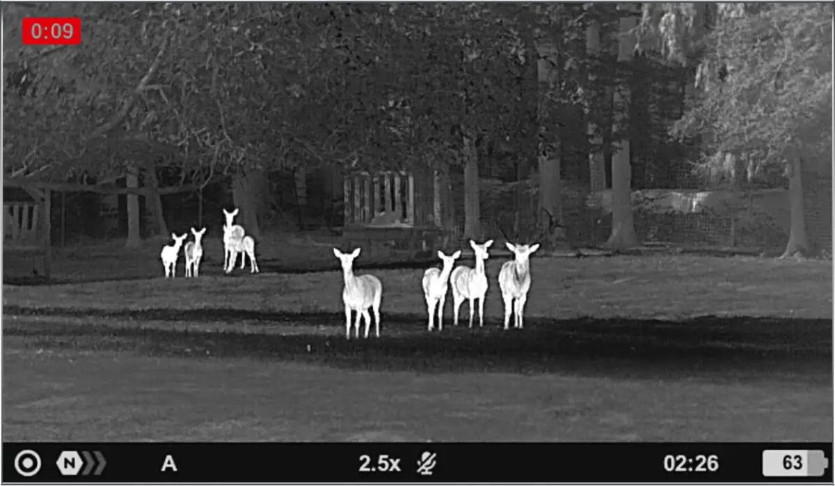 Aufnahme mit
PULSAR Wärmebildkamera Axion XG35 Compact für die Jagd.