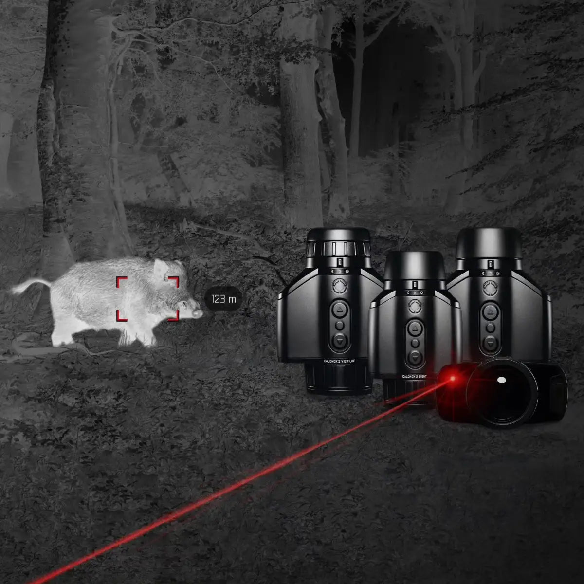 Es handelt sich hier um Aufnahme mit Wärmebildkamera LEICA Calonox 2 View LRF für die Jagd.