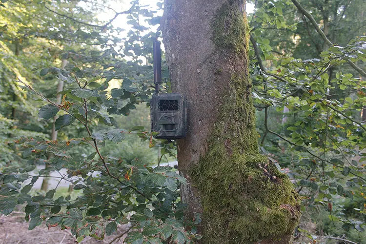 Es handelt sich hier um SEISSIGER Special-Cam LTE – Standardversion für die Jagd.