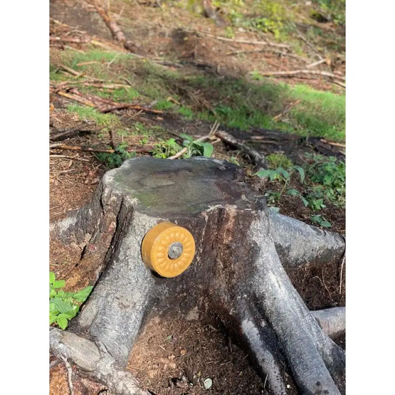 Wildlutscher Leckstein Sauerdorn Beere (süß-sauer)