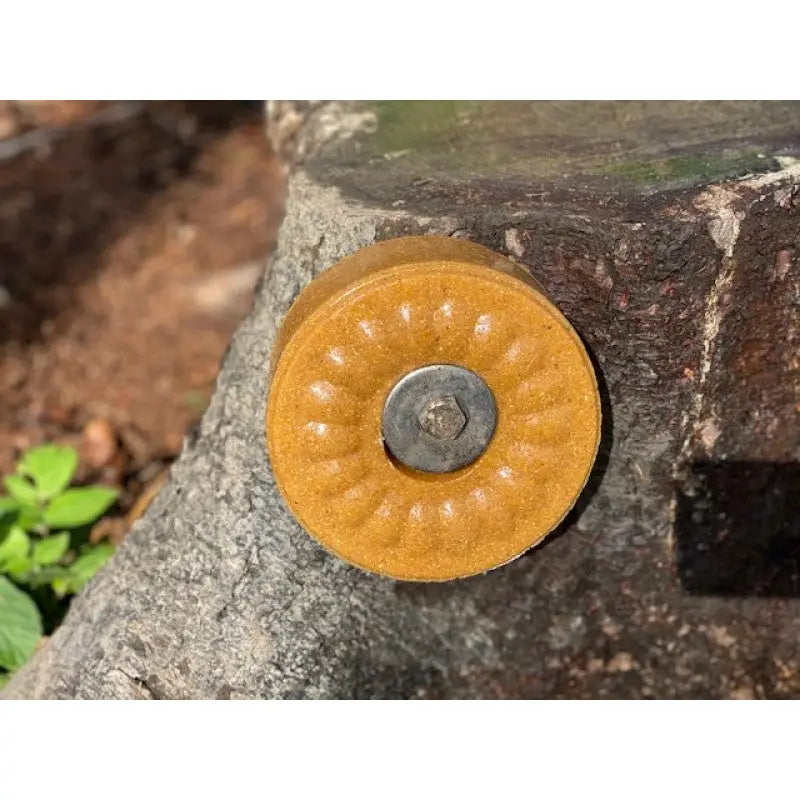 Wildlutscher Leckstein Sauerdorn Beere (süß-sauer)