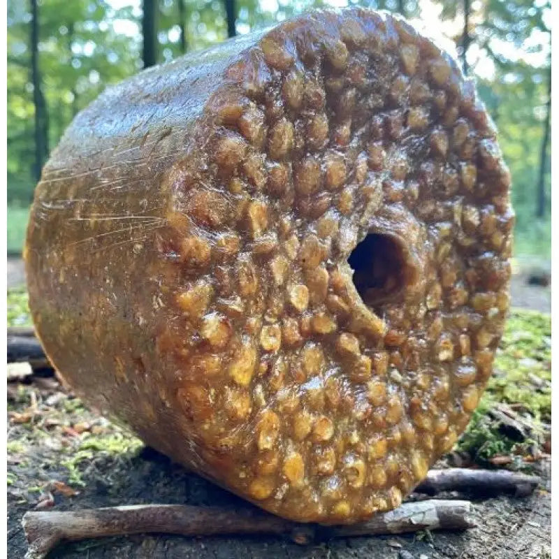 Wildlutscher Spezial Leckstein "Salz Mais"