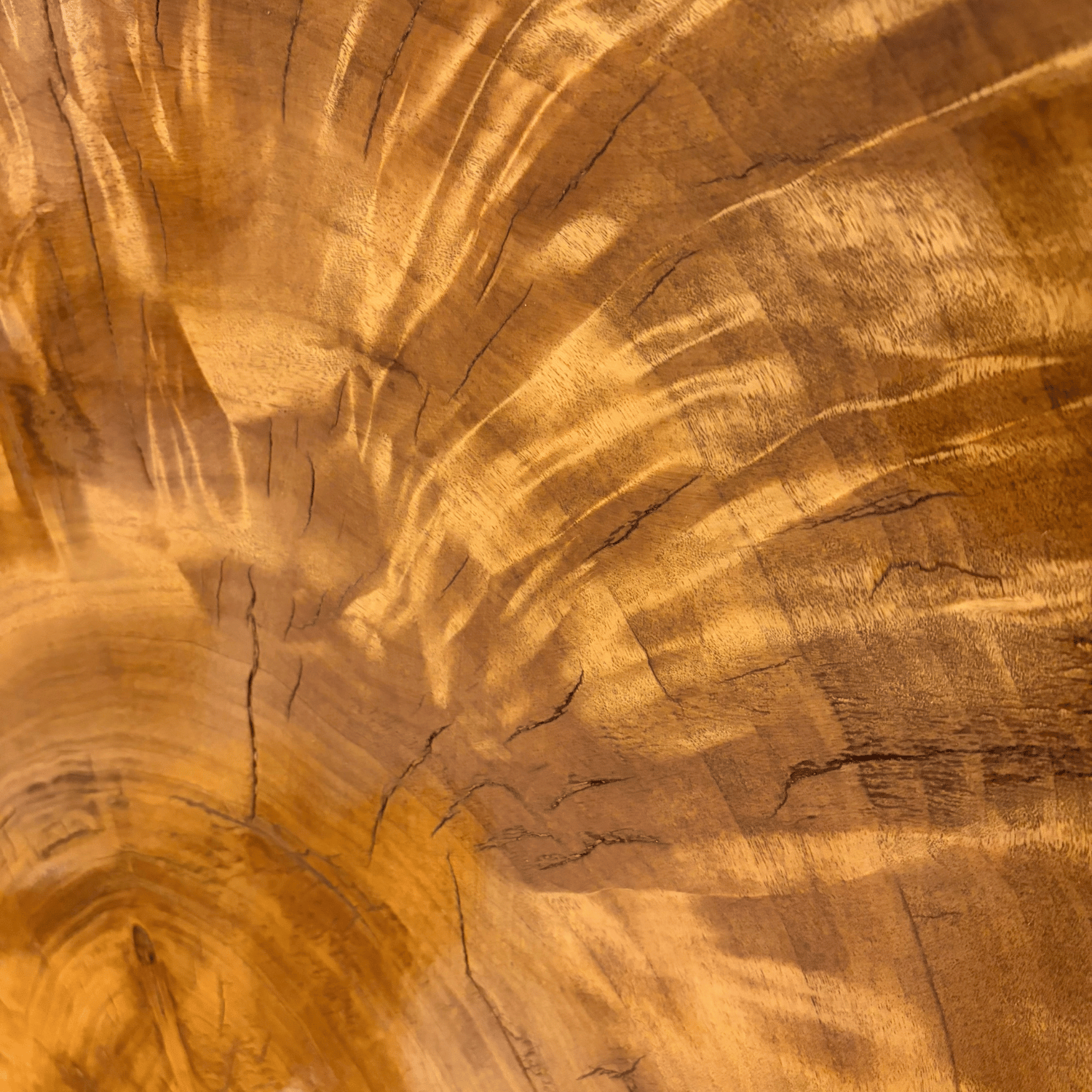 Hier die Holzmaserung einer Thronstuhlrückenlehne in Großaufnahme. Machen Sie sich selbst ein Bild von der Einzigartigkeit des Stuhls
