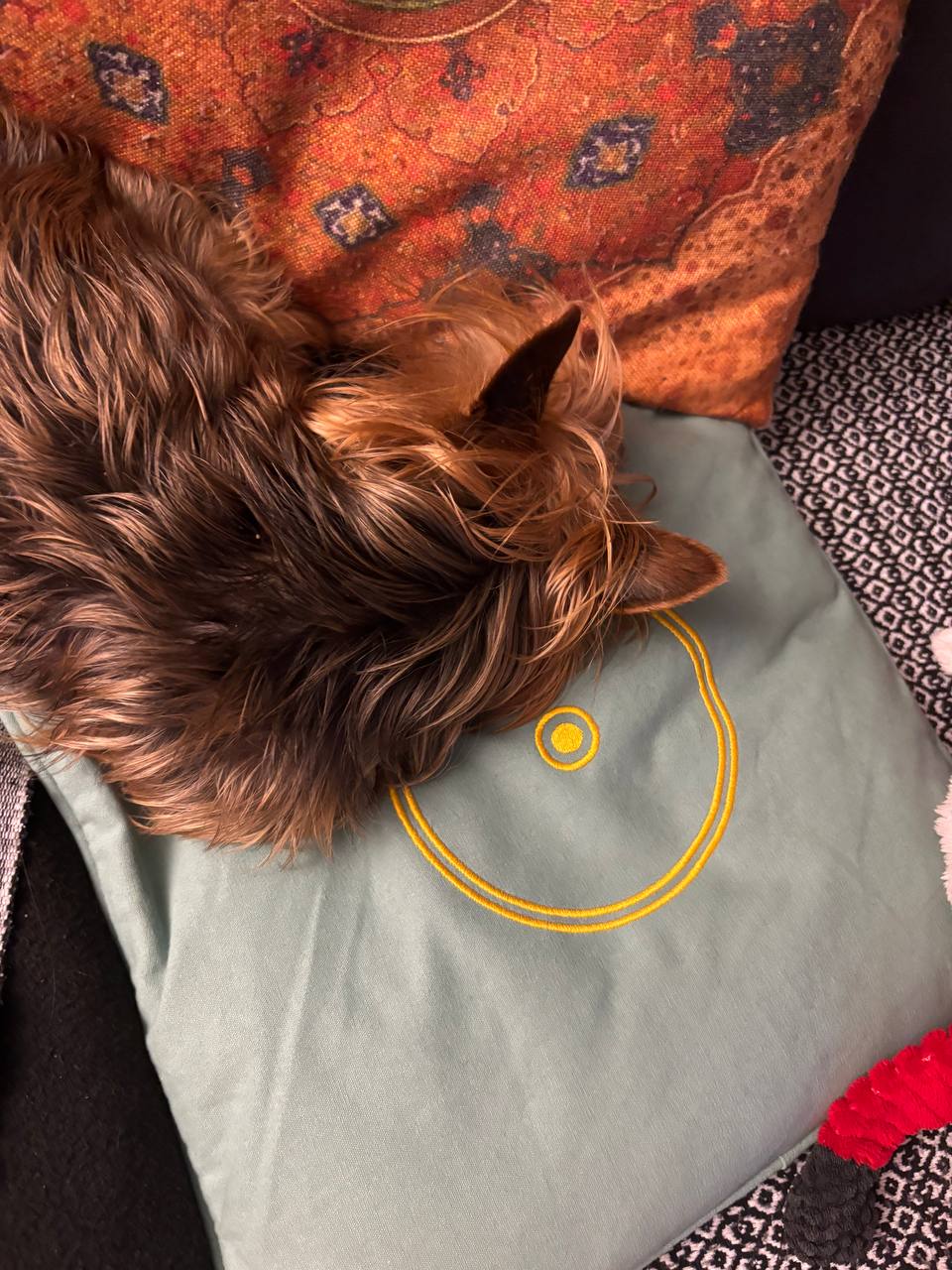 Ob Hund, Katze oder anderes Haustier, das Orgon Kissen wird immer gerne genutzt
