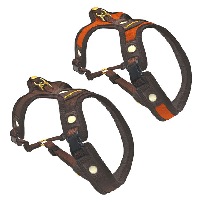 Hundegeschirr Follow light Lichtblick von Niggeloh, für den Jagdhund.