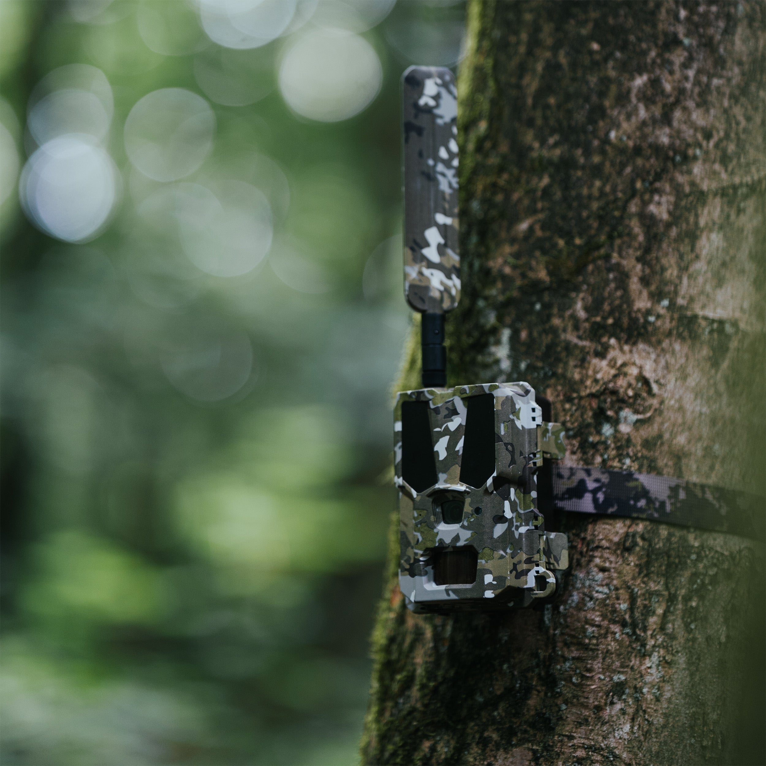 Hunter 4G Mini LTE-SIM-Wildkamera von Modernhunter für die Jagd.