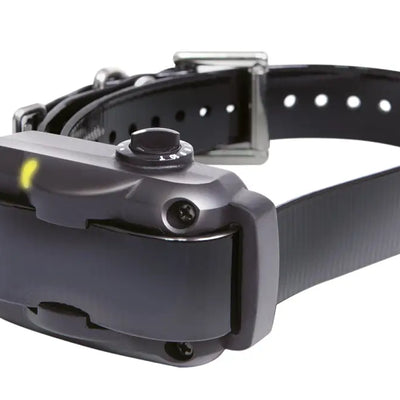 DOGTRA Anti-Bell-Halsband YS600 Ausbildung