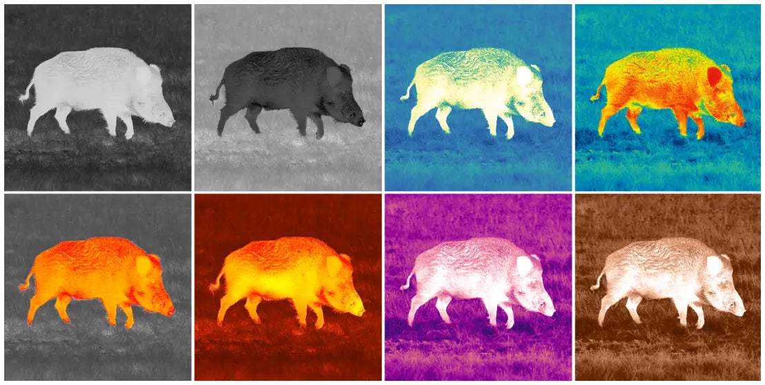 Farbpaletten der PULSAR Axion XG35 Compact Wärmebildkamera für die Jagd.