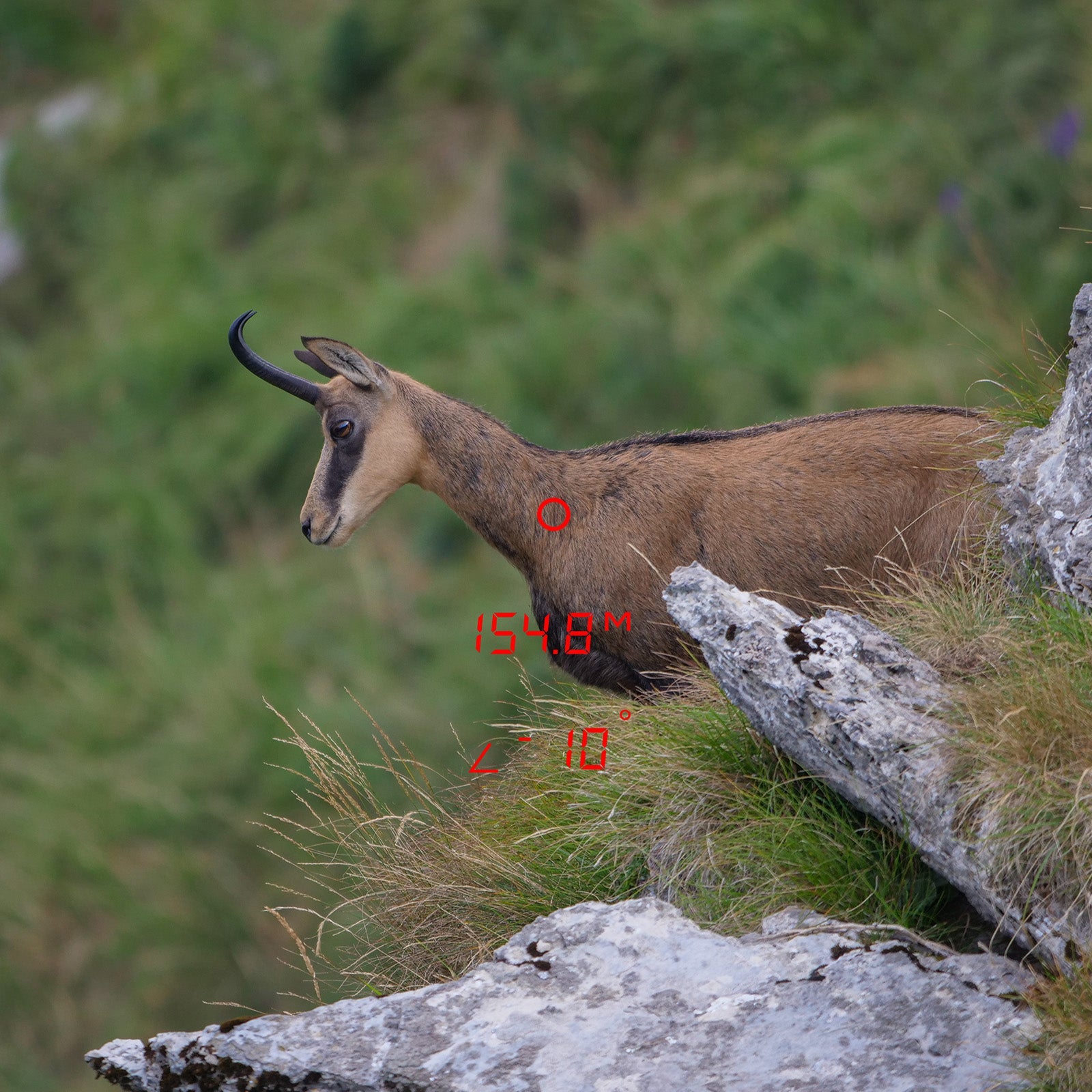 Es handelt sich hier um Bild mit Laser-Entfernungsmesser GPO Rangetracker™ 2000 6x20 für die Jagd.