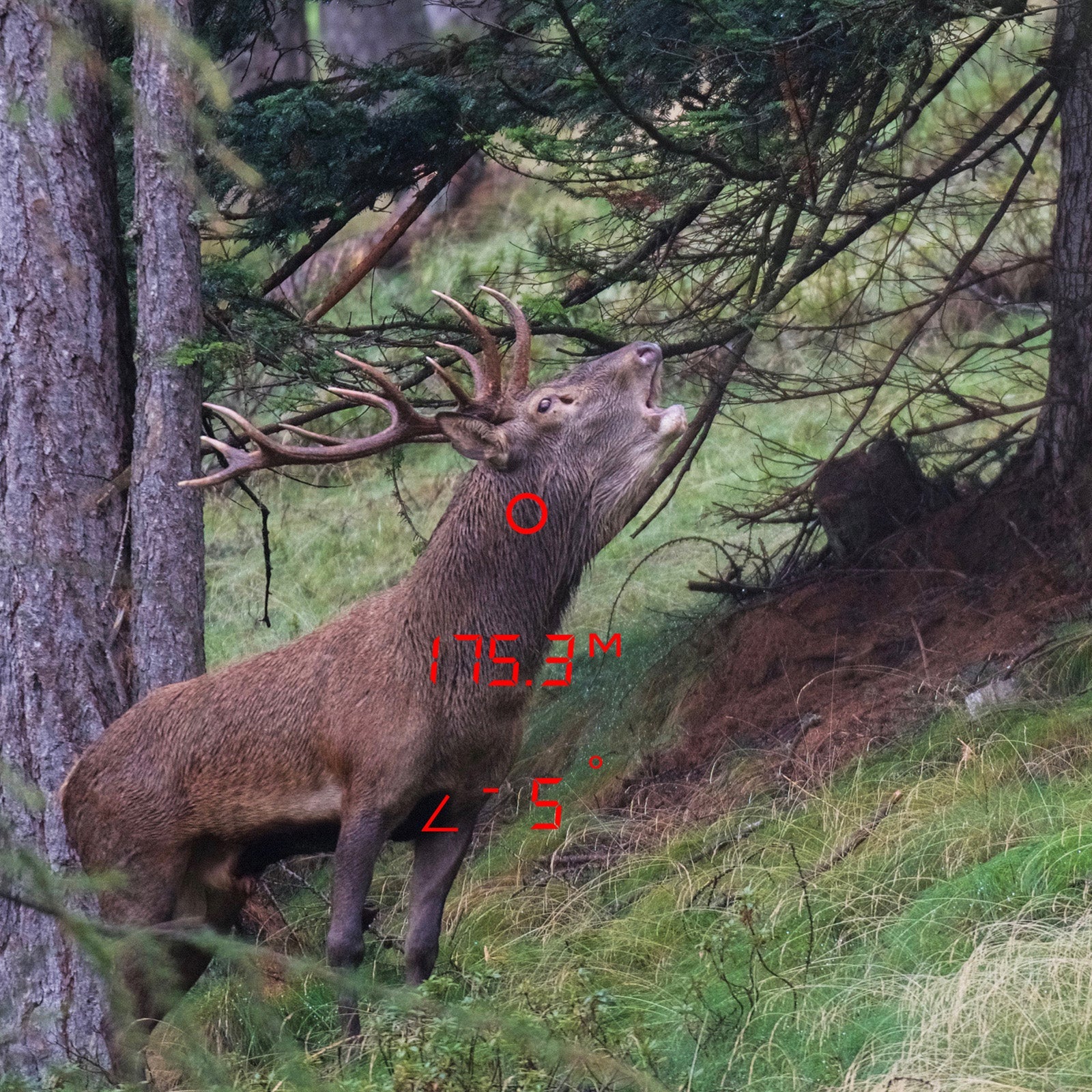 Es handelt sich hier um Bild mit Laser-Entfernungsmesser GPO Rangetracker™ 2000 6x20 für die Jagd.