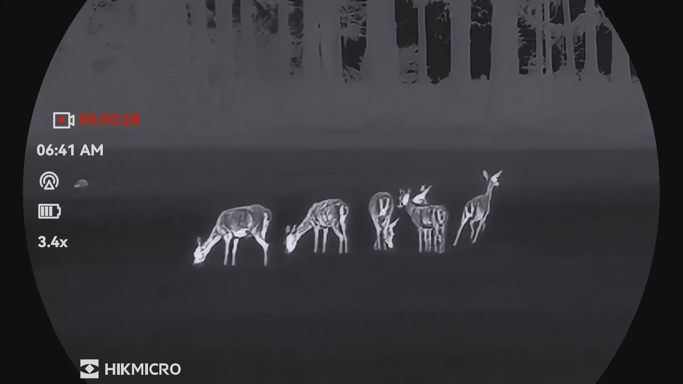 Video zu HIKMICRO Lynx LE10 3.0 Waermebildkamera für die Jagd.